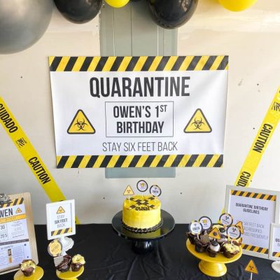 Quarantine Party Backdrop